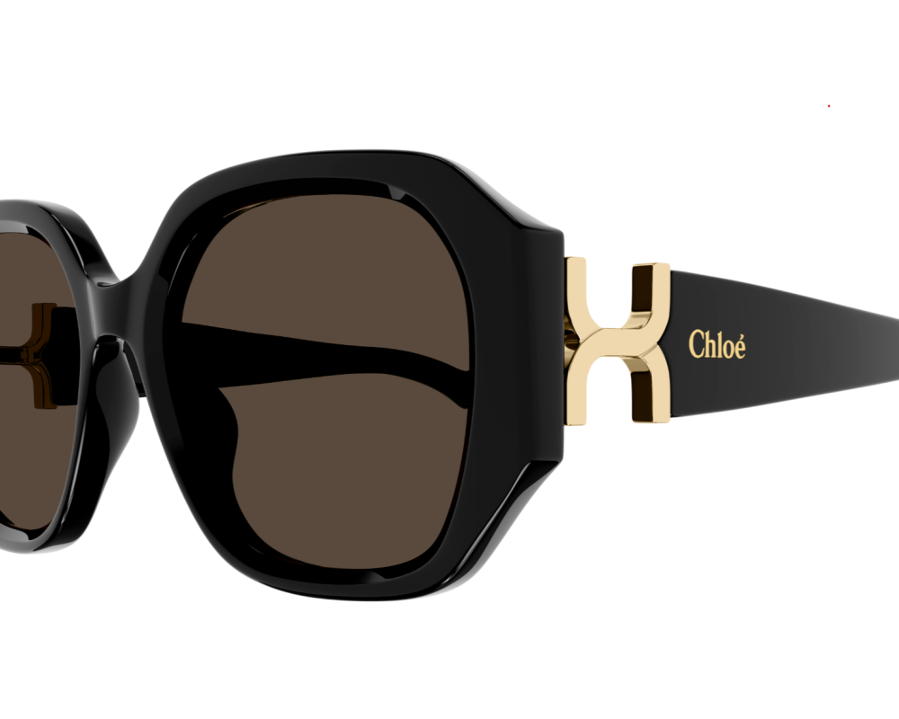 Sunglasses Chloé CH0236S