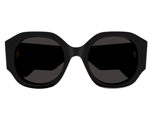Sunglasses Chloé CH0234S