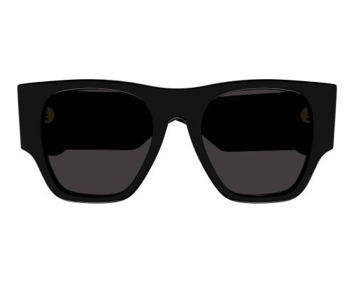 Sunglasses Chloé CH0233S