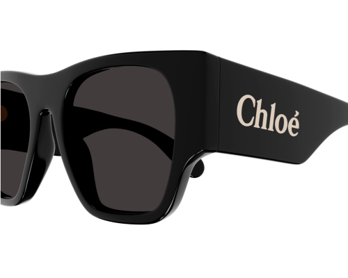 Lunettes de Soleil Chloé CH0233S