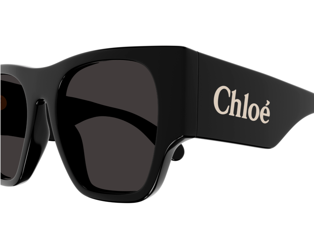 Sunglasses Chloé CH0233S