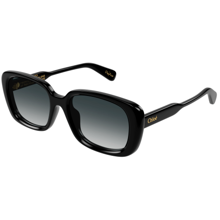 Lunettes de Soleil Chloé CH0225SK