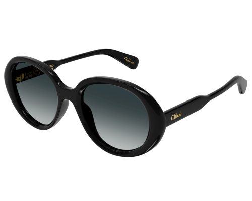 Sunglasses Chloé CH0221S