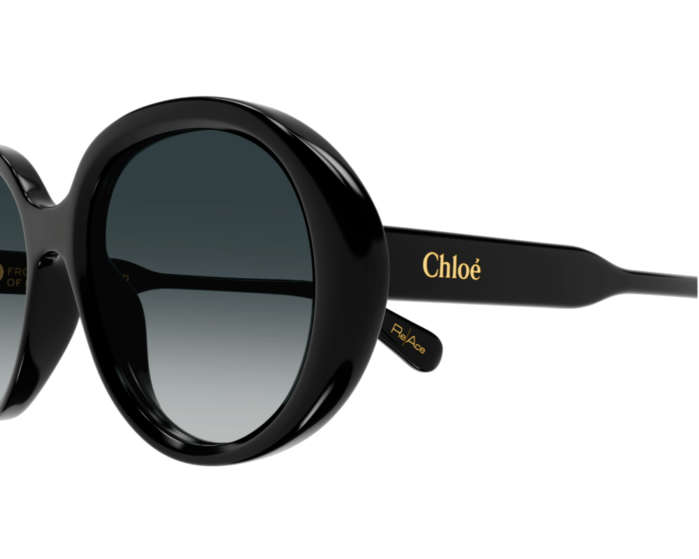 Sunglasses Chloé CH0221S
