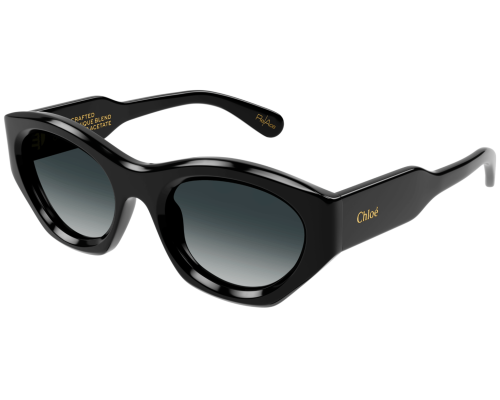 Sunglasses Chloé CH0220S