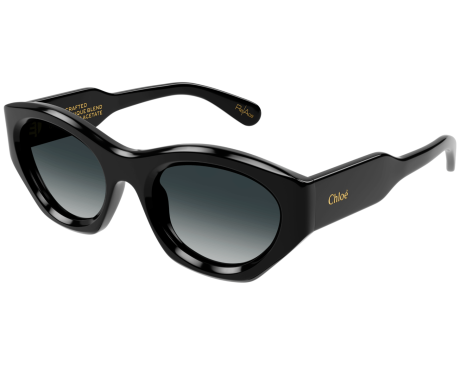 165884-Sunglasses Chloé CH0220S