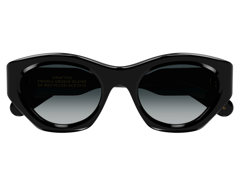Sunglasses Chloé CH0220S