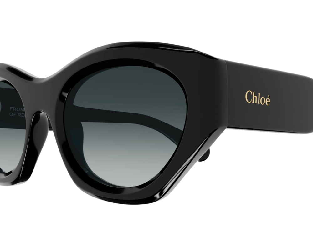 Sunglasses Chloé CH0220S