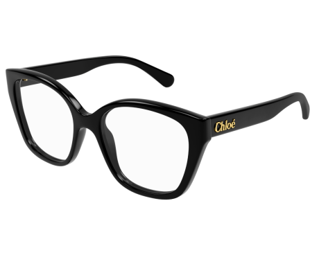 166378-Bril Chloé CH0241O