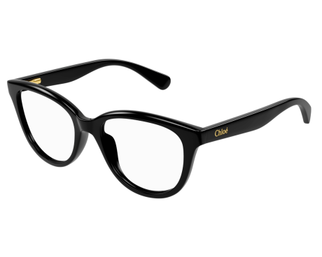 166562-Lunettes de vue Chloé CC0021O