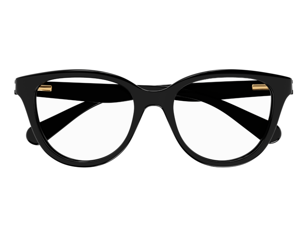 Eyeglasses Chloé CC0021O