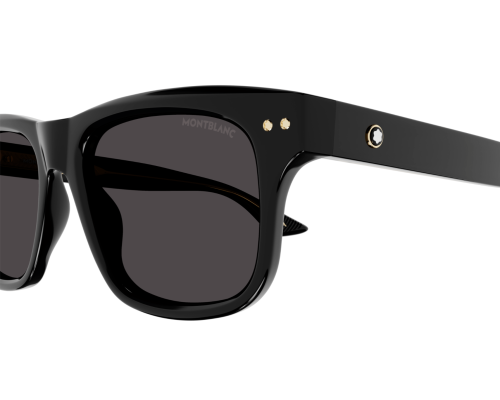 Lunettes de Soleil Montblanc Snowcap MB0319S