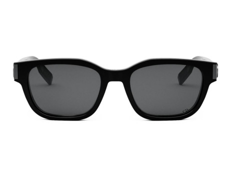 167209-Zonnebril Dior CD Icon S1I