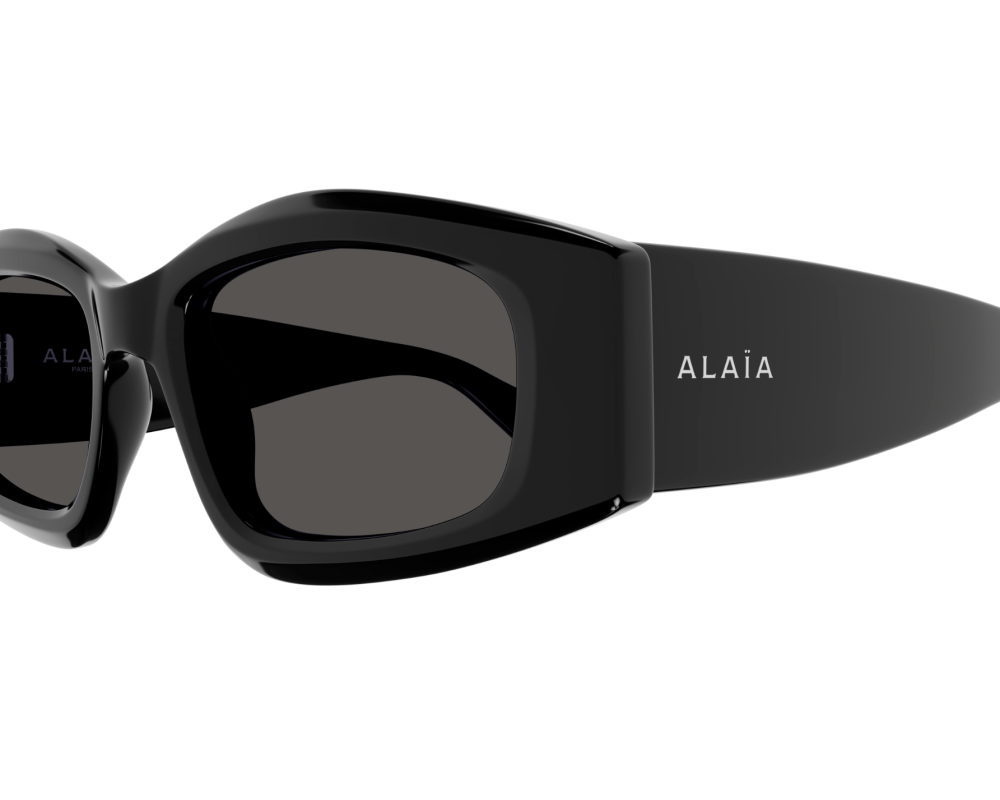 Lunettes de Soleil Alaïa Lettering Logo AA0079S