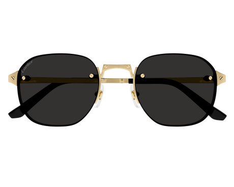 168518-lunettes Cartier - lunettes Cartier Santos - lunettes Cartier hommes