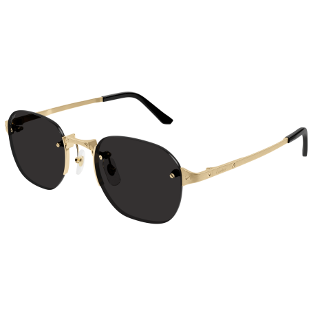 Cartier Zonnebril Santos CT0459S