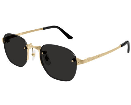 168519-lunettes Cartier - lunettes Cartier Santos - lunettes Cartier hommes