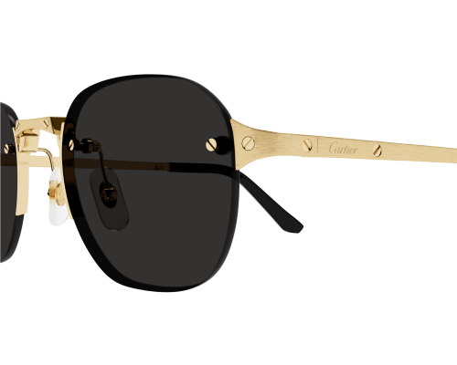 lunettes Cartier - lunettes Cartier Santos - lunettes Cartier hommes