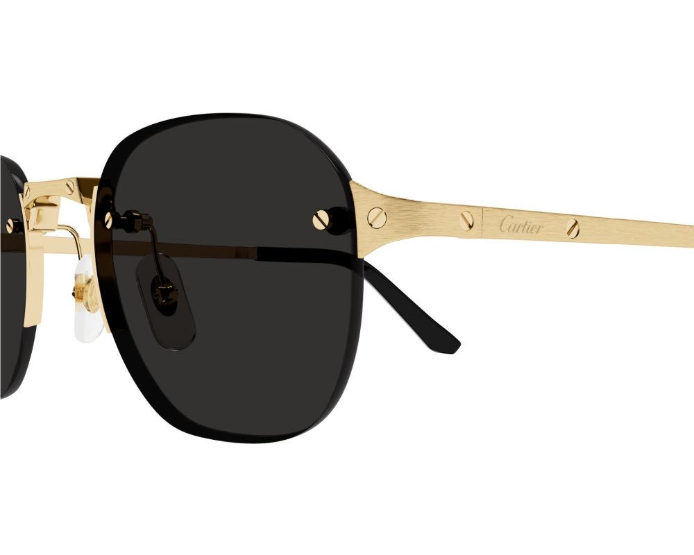 lunettes Cartier - lunettes Cartier Santos - lunettes Cartier hommes