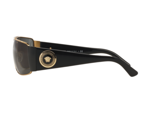 Versace Zonnebril VE2163 100287 | Verkooppunt Versace