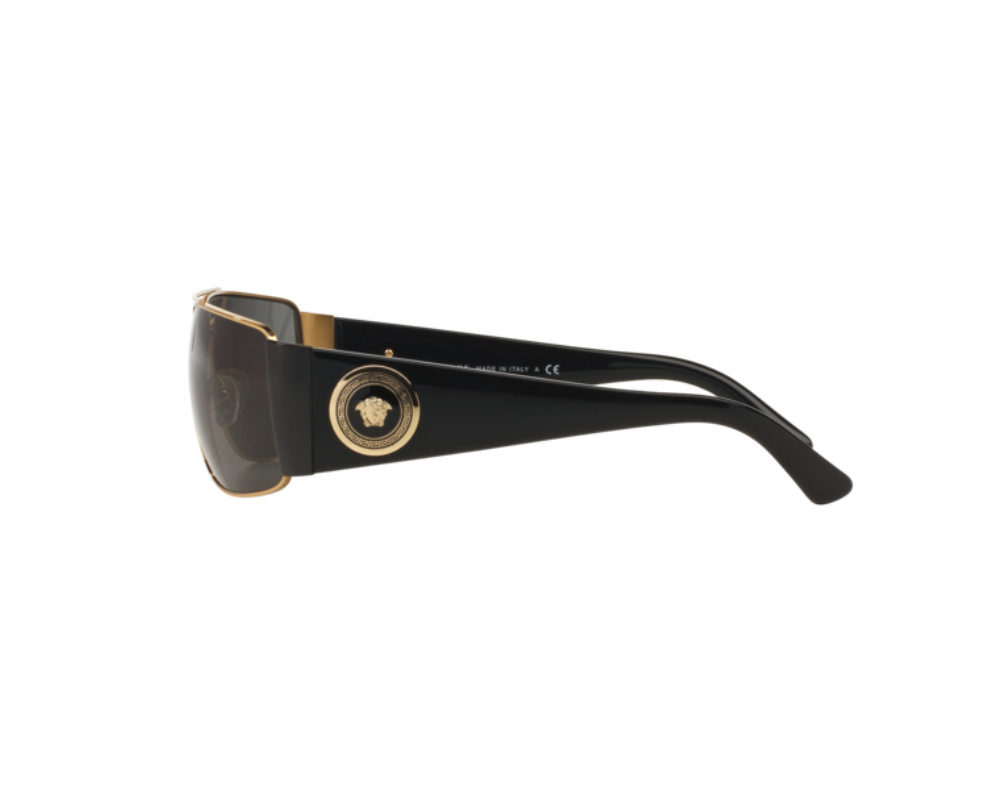 Versace Zonnebril VE2163 100287 | Verkooppunt Versace