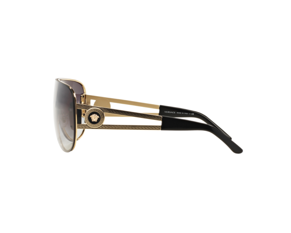 Versace Zonnebril VE2166 12528G | Verkooppunt Versace