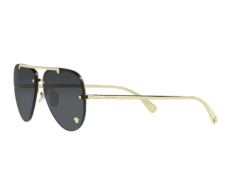 171021-Zonnebril Versace VE2231