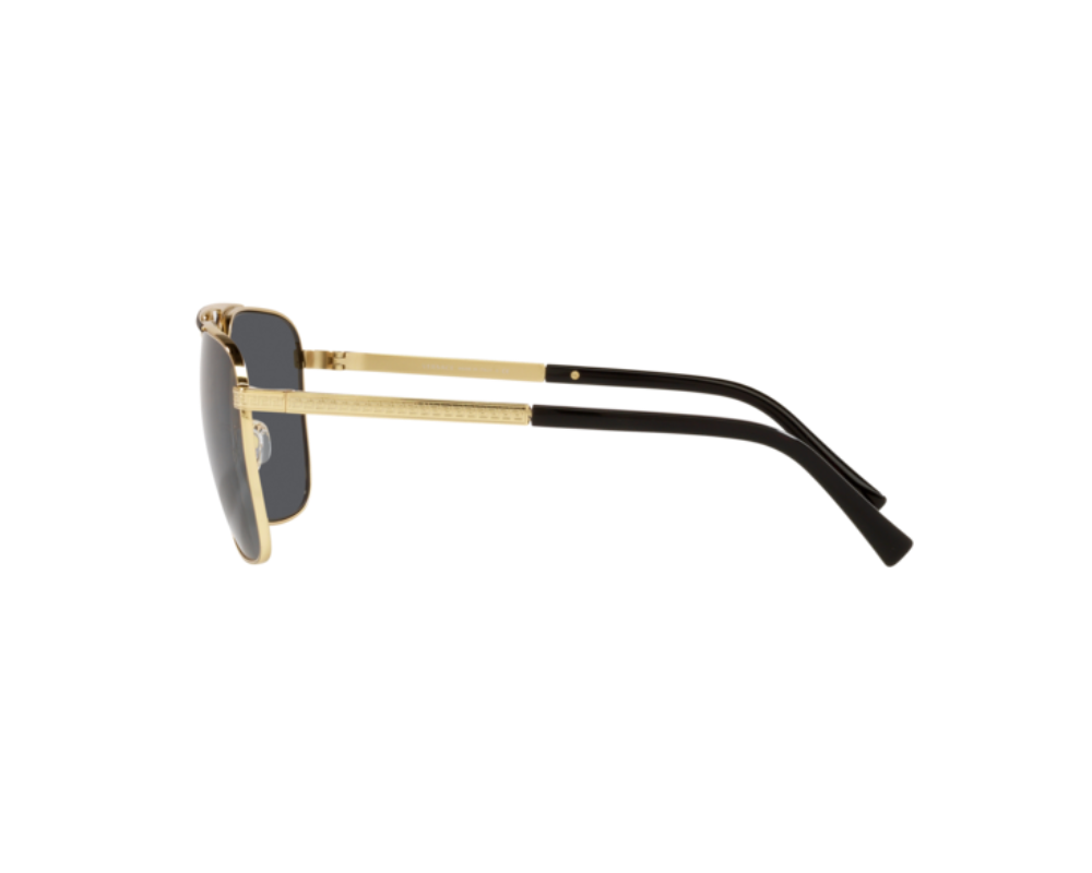 Zonnebril Versace VE2238
