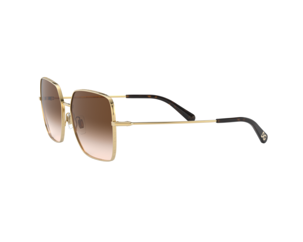 Zonnebril Dolce&Gabbana DG2242 | CELINE ROLAND OPTICIEN LUNETIER