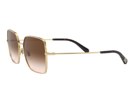 172203-Zonnebril Dolce&Gabbana DG2242 | CELINE ROLAND OPTICIEN LUNETIER