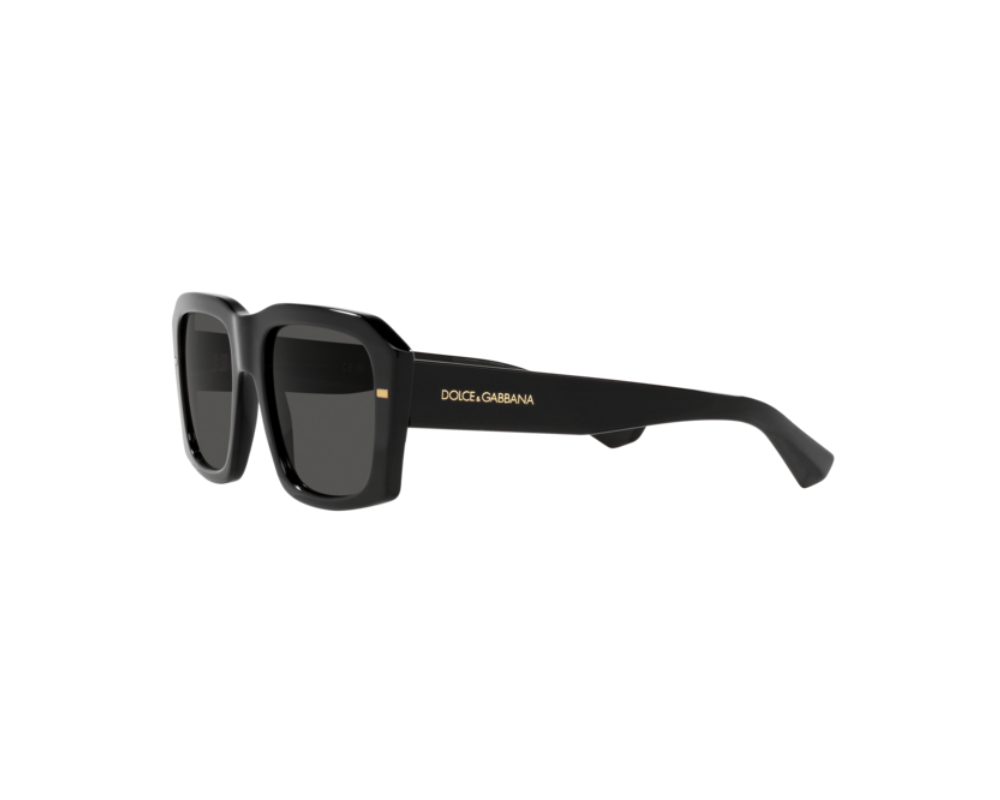 Lunettes de Soleil Dolce & Gabbana DG4430 | CELINE ROLAND OPTICIEN LUNETIER