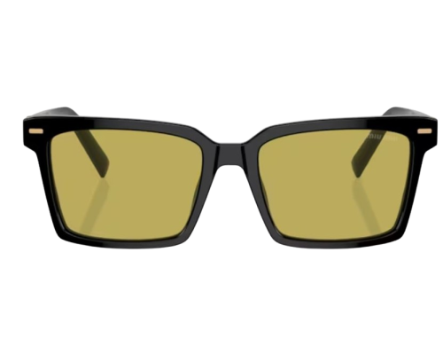Lunettes de Soleil Miu Miu MU 13ZS