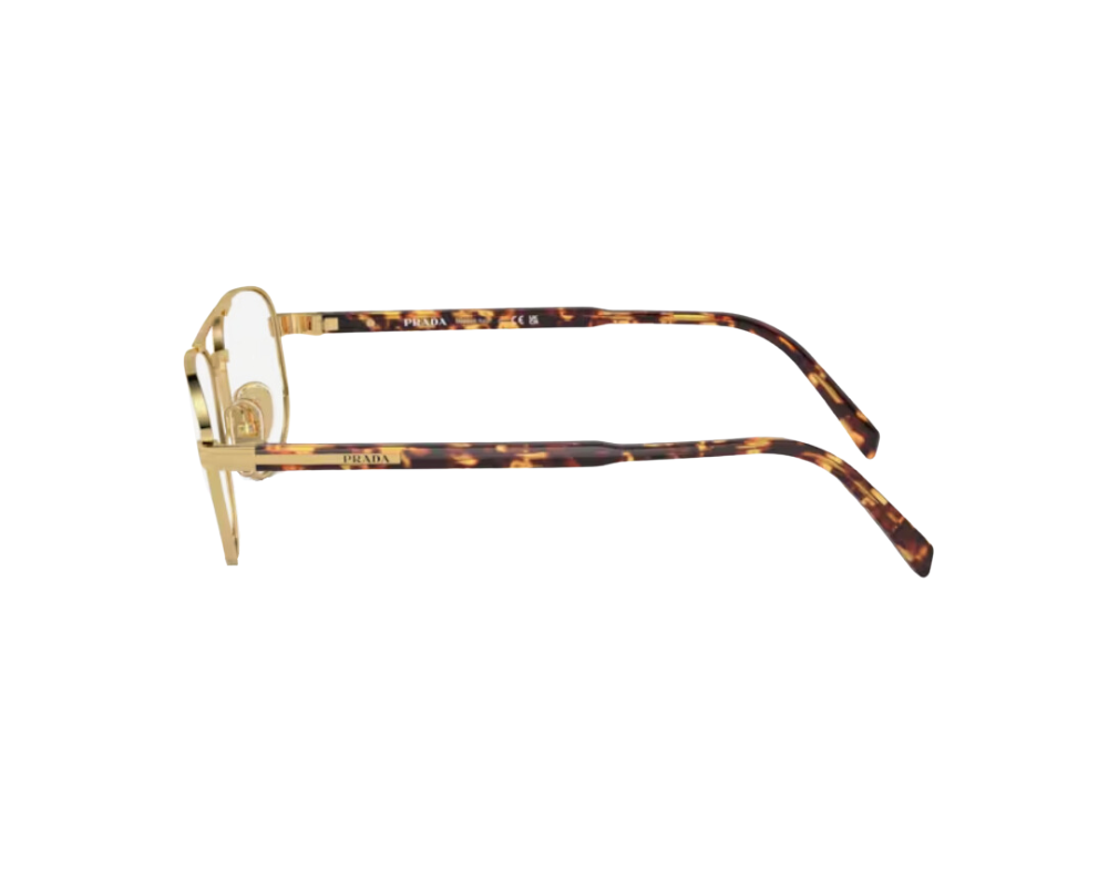 Eyeglasses Prada PR A56V