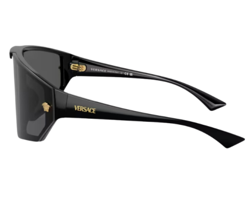 Zonnebril Versace Medusa Horizon VE4461