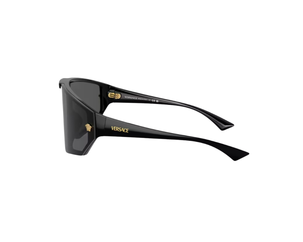 Zonnebril Versace Medusa Horizon VE4461