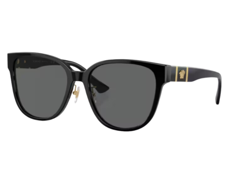 176529-Zonnebril Versace VE4460D