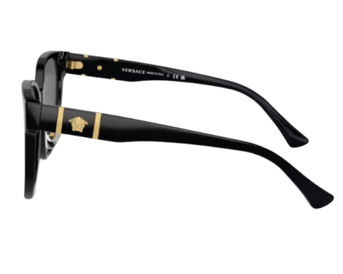 Lunettes de Soleil Versace VE4460D