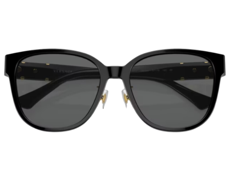 176532-Zonnebril Versace VE4460D