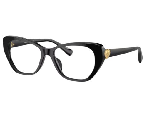 Eyeglasses Versace VK3005U