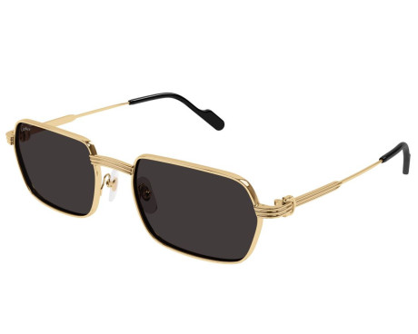 183277-lunettes Cartier - lunettes Cartier photochromique - Lunettes Cartier homme