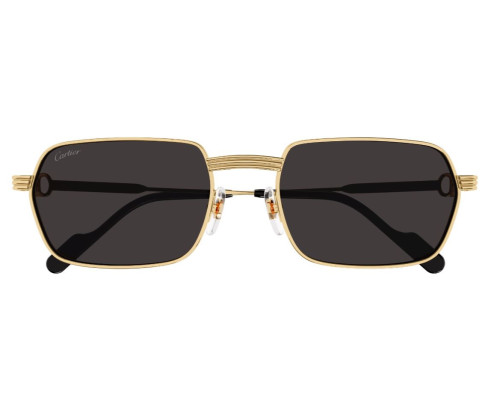 lunettes Cartier - lunettes Cartier photochromique - Lunettes Cartier homme