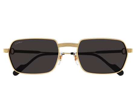 183278-lunettes Cartier - lunettes Cartier photochromique - Lunettes Cartier homme