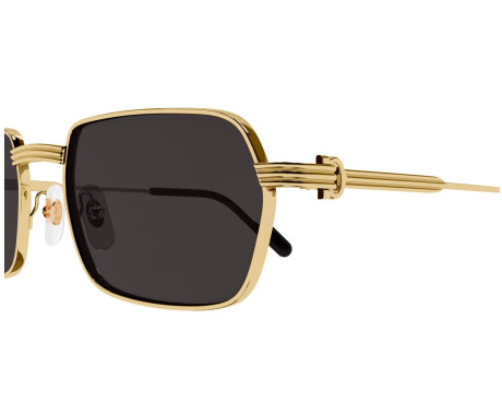 183279-lunettes Cartier - lunettes Cartier photochromique - Lunettes Cartier homme