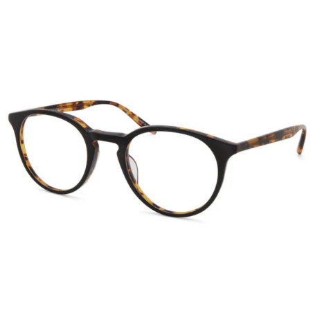 Bril Barton Perreira Princeton