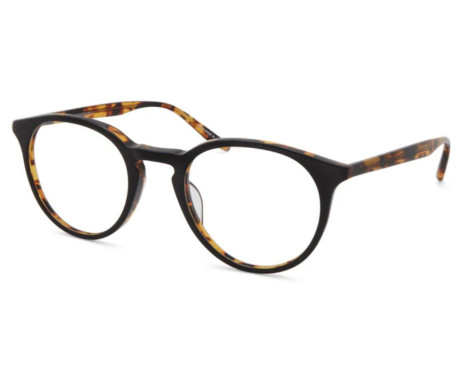 184868-Lunettes de vue Barton Perreira Princeton