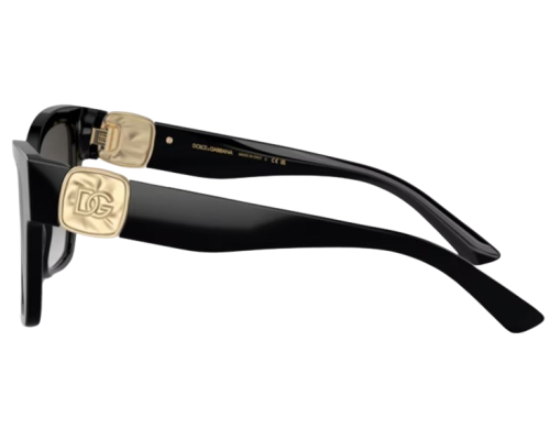 Sunglasses Dolce & Gabbana DG4470