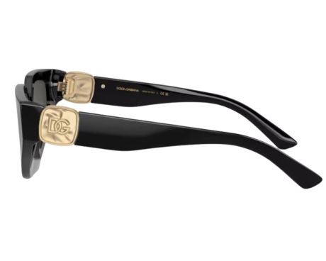 185764-Sunglasses Dolce & Gabbana DG4469