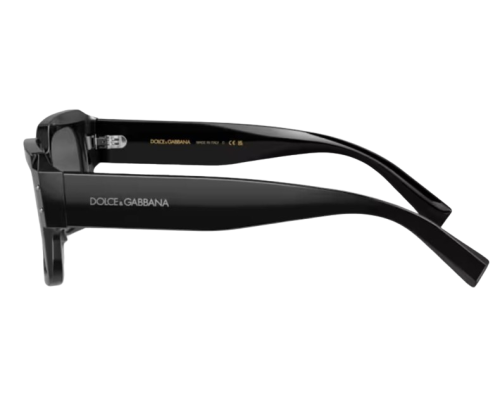 Zonnebril Dolce & Gabbana DG4460