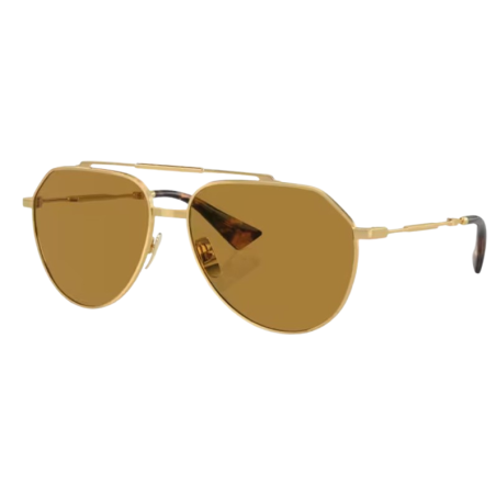 Zonnebril Dolce & Gabbana DG2302