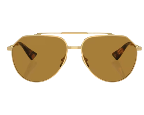 185921-Zonnebril Dolce & Gabbana DG2302